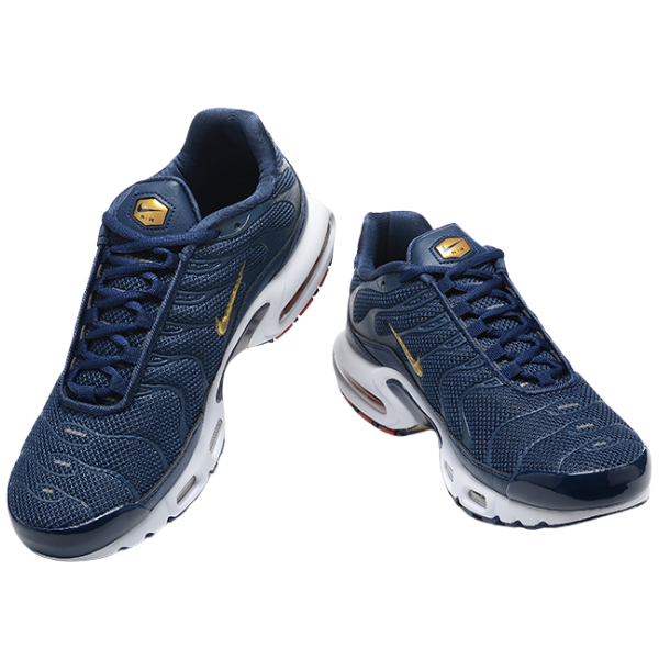 Tênis Nike Air Max Plus TN Seleção Francesa