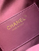 Bolsa Hobo  Chanel 25